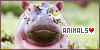 Animals: 