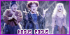 Hocus Pocus: 